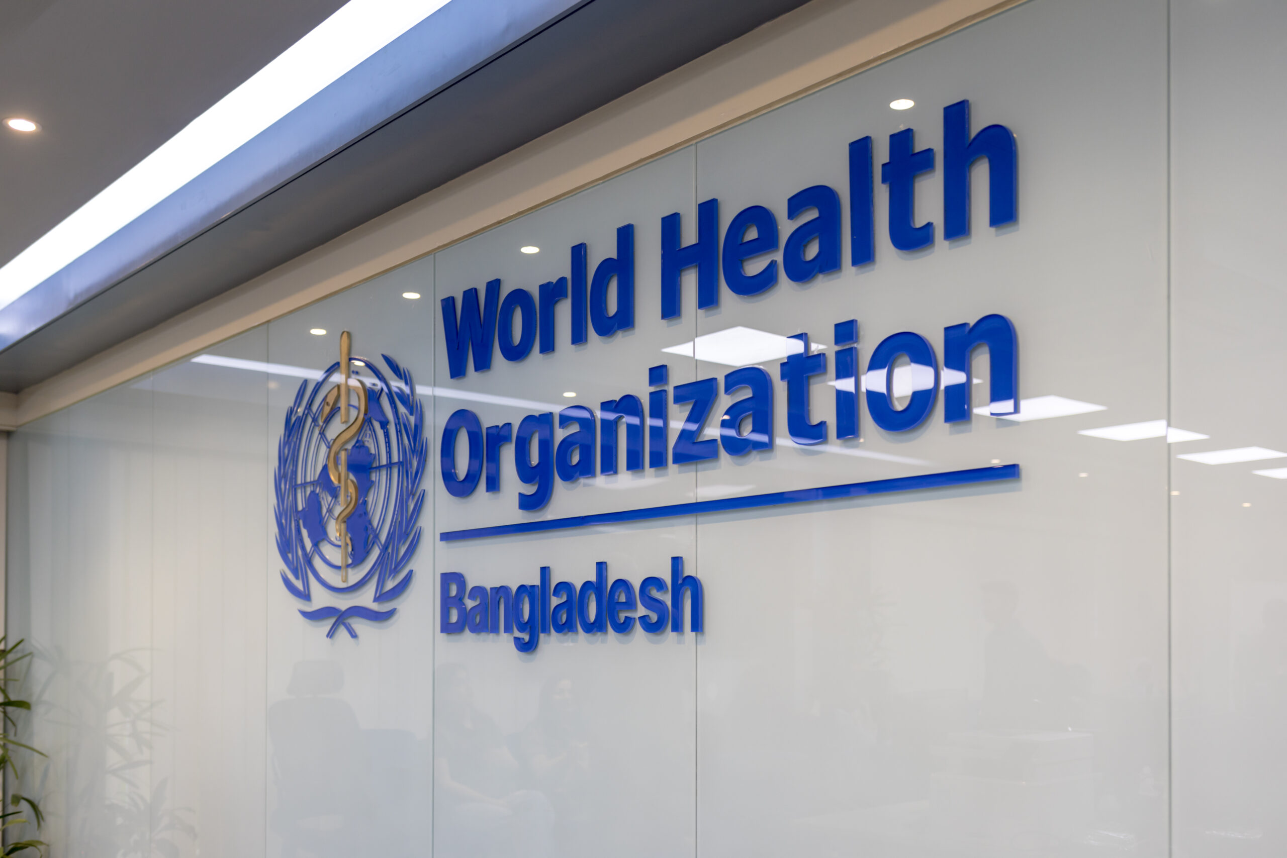 WHO pandemic treaty 2025, World Health Assembly 2025, global pandemic preparedness, vaccine equity, pandemic response framework, international health cooperation, global health security